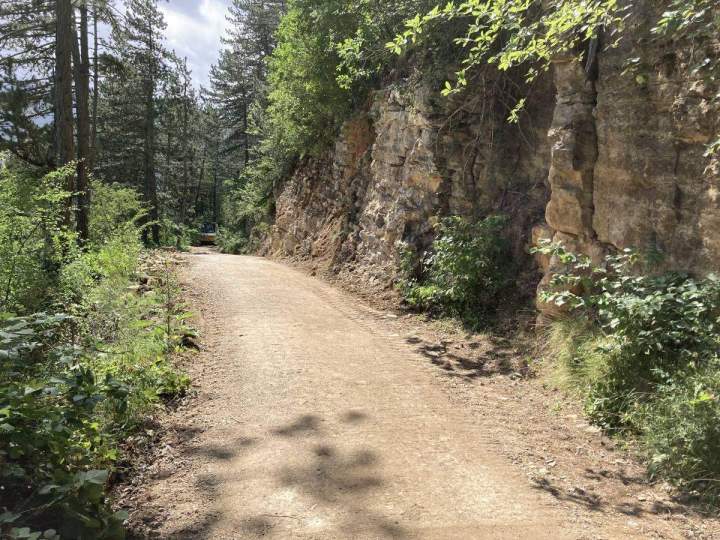 Création de piste forestière Mende