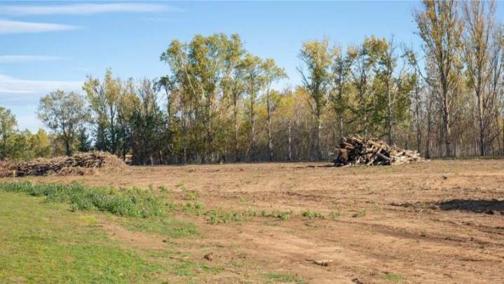 Défrichement de terrain Mende